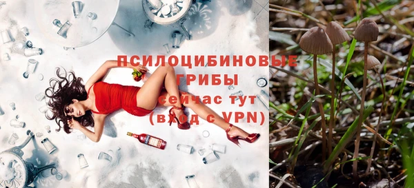 первитин Арсеньев
